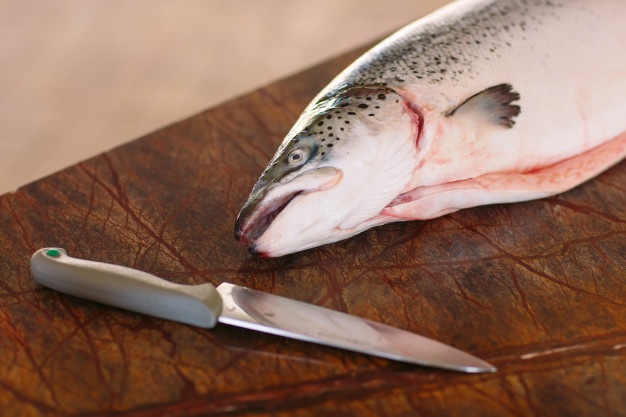 ماهی سالمون نروژی اصل 