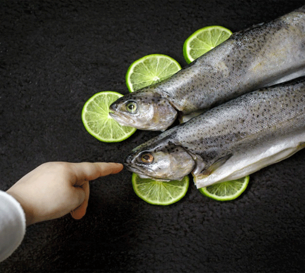 خرید ماهی لذیذ برای کودکان 
