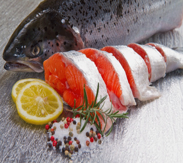 خرید ماهی سالمون اقیانوس اطلس